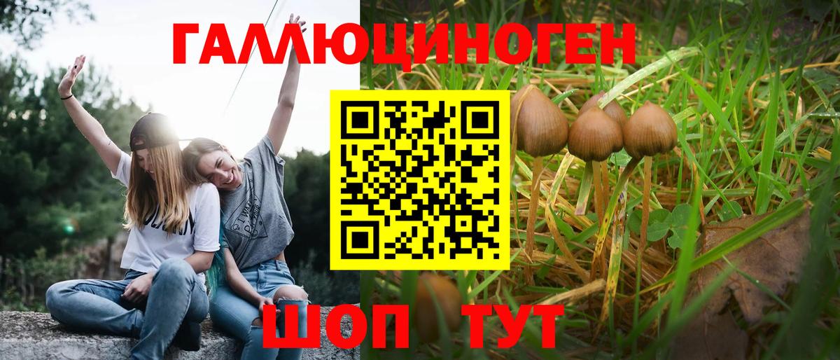 Галлюциногенные грибы Magic Shrooms  Вход с VPN  где можно купить наркотик  Владимир  Псилоцибиновые грибы Magic Shrooms 