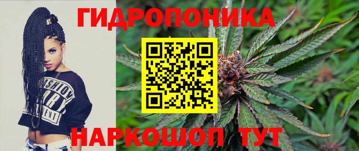 Владимир  МАРИХУАНА ГИДРОПОН  Конопля Ganja  Канабис Bruce Banner  Вход с VPN 